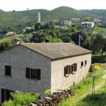 Charmant T2 Proche De Corte Soveria المظهر الخارجي الصورة