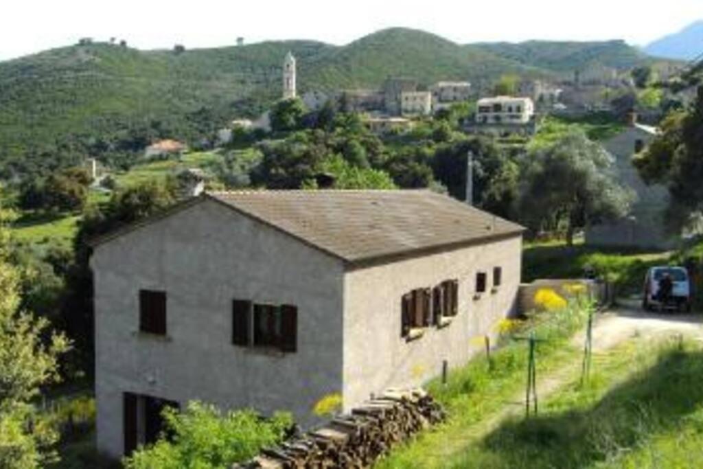 Charmant T2 Proche De Corte Soveria المظهر الخارجي الصورة