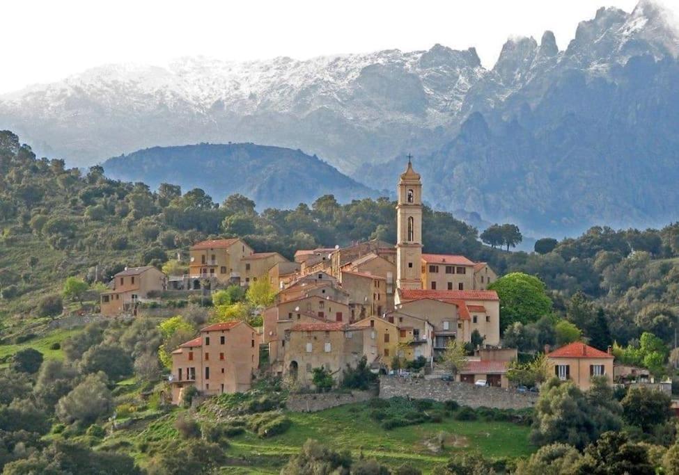 Charmant T2 Proche De Corte Soveria المظهر الخارجي الصورة